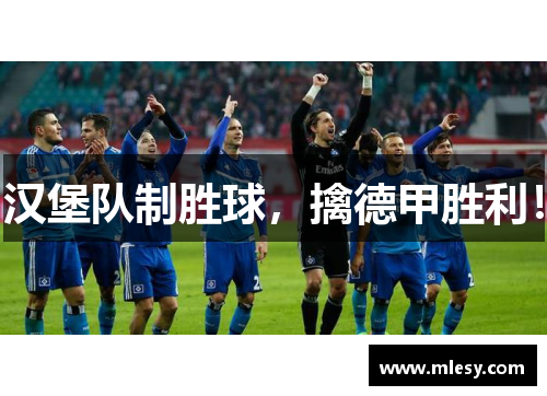 汉堡队制胜球，擒德甲胜利！