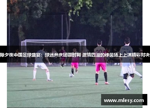 除夕夜中国足球盛宴：球迷共庆团圆时刻 激情四溢的绿茵场上上演精彩对决