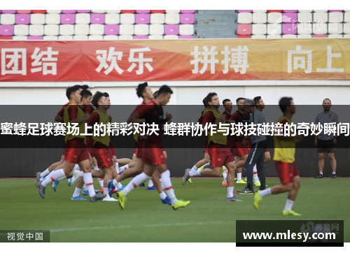 蜜蜂足球赛场上的精彩对决 蜂群协作与球技碰撞的奇妙瞬间