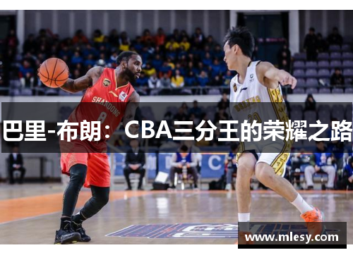 巴里-布朗：CBA三分王的荣耀之路