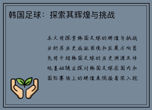 韩国足球：探索其辉煌与挑战
