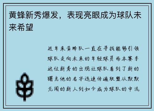 黄蜂新秀爆发，表现亮眼成为球队未来希望